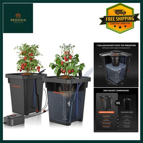 Hydroponic dwc grow - hydroponic,