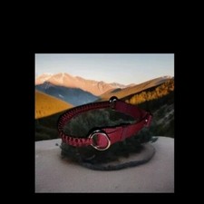 Burgandy Bitless Bridle