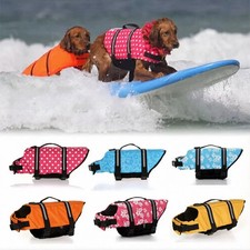 Dog Life Jacket Safety