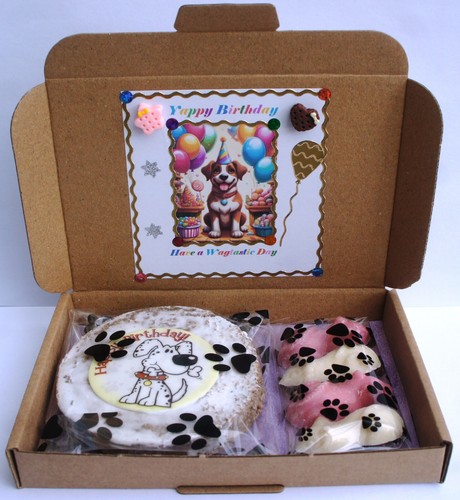Dog birthday gift treat - birthday, box
