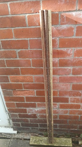 Hazel walking stick - hazel,