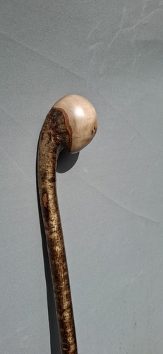 Hazel coppice knob - hazel,