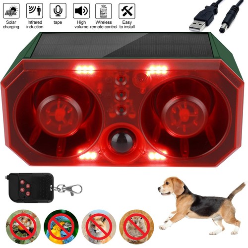 Solar outdoor motion - solar,