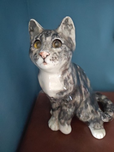 Winstanley tabby white cat - white,