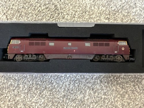 Class maroon western - class,
