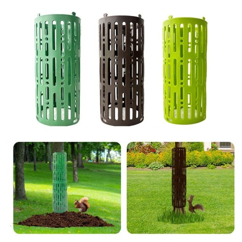 Protecting trees plant - trees,
