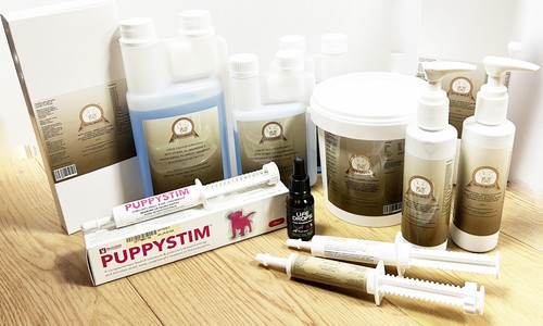 Puppy survival colostrum milk - puppy,