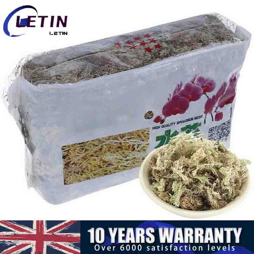 Sphagnum moss garden - sphagnum,