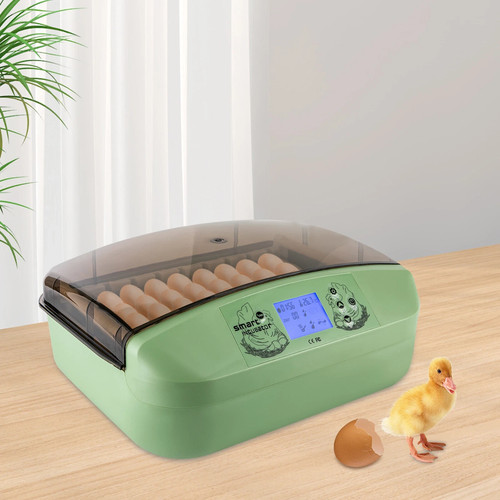 Digital egg incubator - 32,