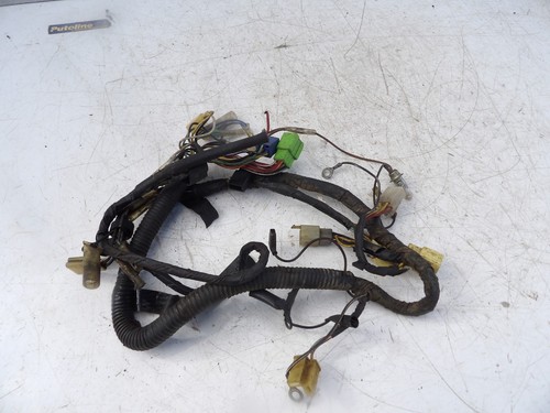 Suzuki 100 erz loom - suzuki, (