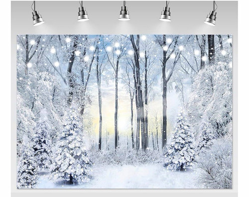 Winter snow forest christmas - snow,