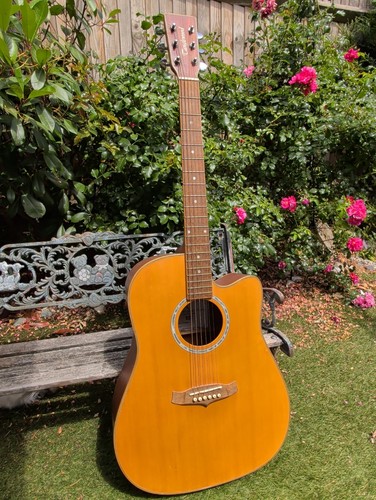 Tanglewood evolution tw28 - evolution, csr