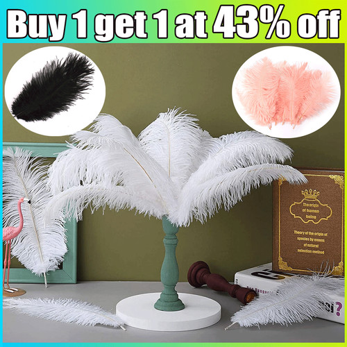 10x large long - large, ostrich