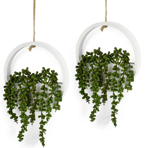 Pack hanging plant - hanging,