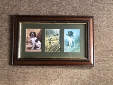 Springer Spaniels Shooting Prints Picture John Trickett