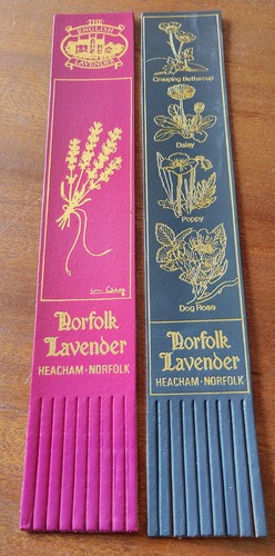 Norfolk lavender - norfolk,