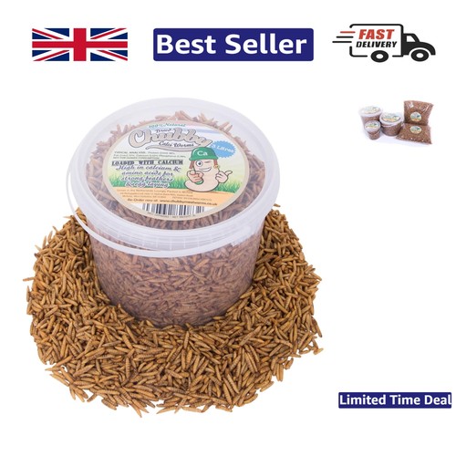 Dried calci worms for - calci, 3l