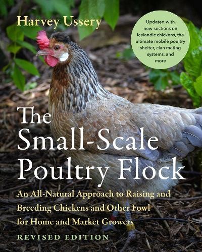 The small scale - poultry, flock