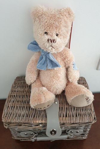 Settler bears big - bears, (australia)