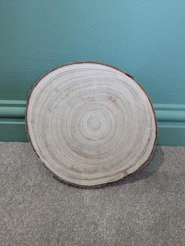 Natural wood slices discs tree - natural,