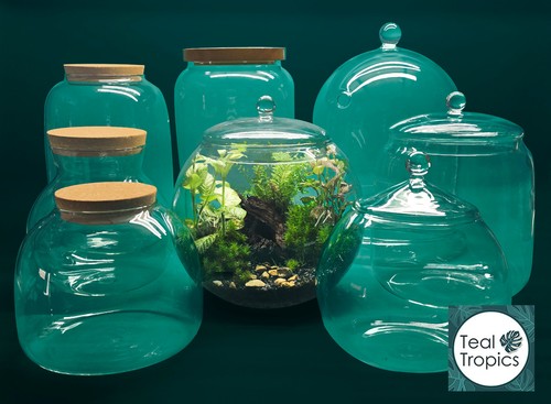Clear glass jars and glasses - clear,