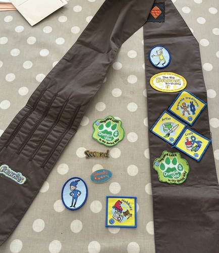 Brownie badge sash girl 2014 - brownie,