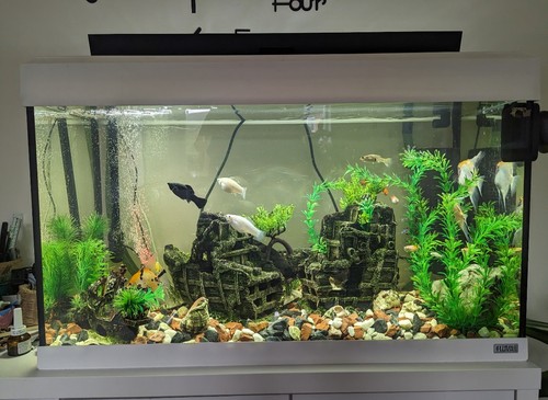 Fluval roma 200 - roma, litre