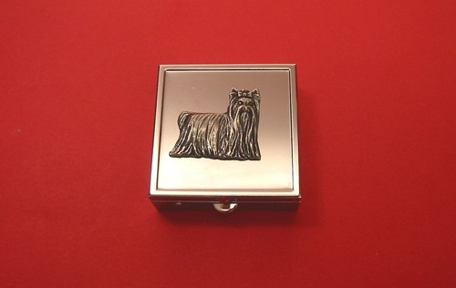 Yorkshire terrier square - terrier, pill