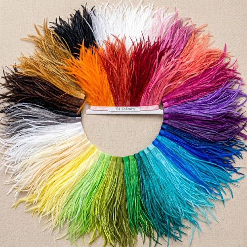 Colours ostrich feather - 64,