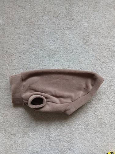 Whippet puppy small - whippet, puppy/small