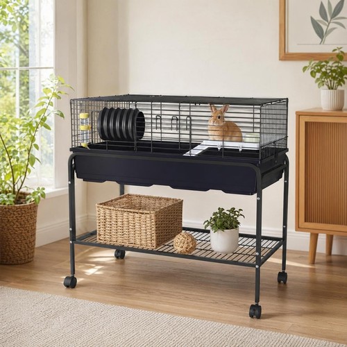 Indoor rabbit case rat - indoor,