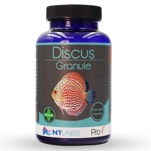 Labs pro discus - labs,