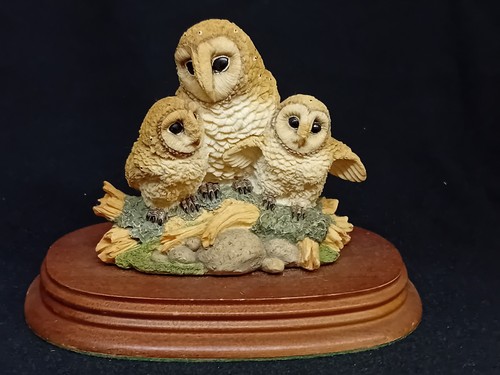 Leonardo owl owlets - &, owlets'