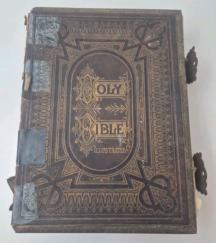 Holy bible illustrated - illustrated, family