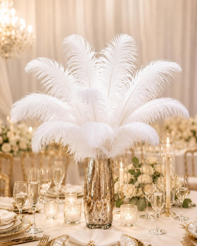 10pcs ostrich feathers - 10pcs,