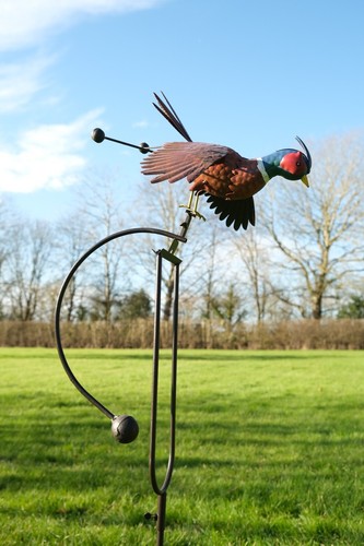 Pheasant bird rocking - bird,