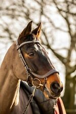 EQUIPRIDE ANATOMICAL BRIDLE