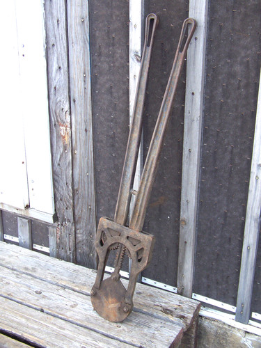 Vintage dehorning clipper - ,