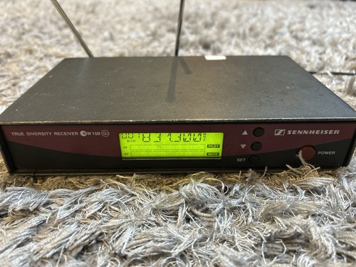 Sennheiser true diverts - true,