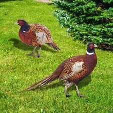Lifelike Garden Decorations | Set of 2 Metal Pheasant Garden Ornaments