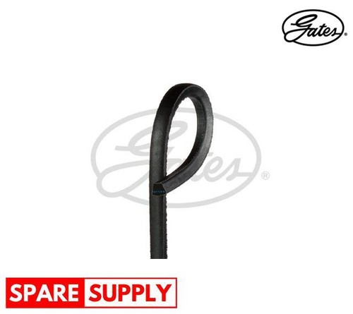 Belt for isuzu - for, campo