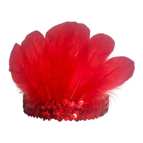 Feather headband headwear for - headband,