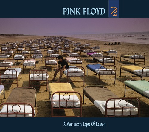 Pink floyd momentary - pink,