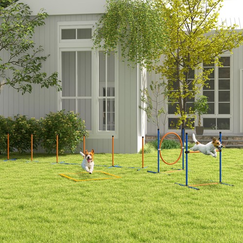 Pawhut pcs dog agility - 4,