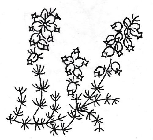Vintage embroidery transfer - vintage,