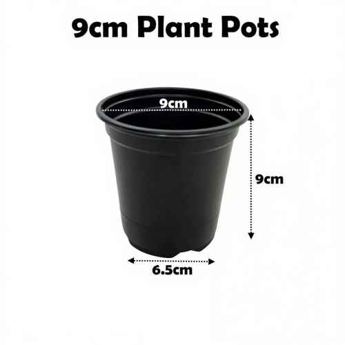 9cm plant pots black - plant, plastic