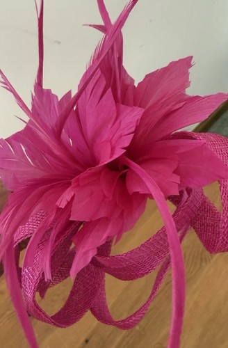 Hot pink fuchsia feather - hot,