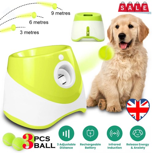 Auto dog ball launcher - dog,