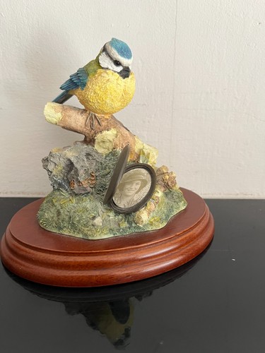 Border fine arts - border,