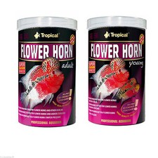 TROPICAL FLOWER HORN ADULTS &